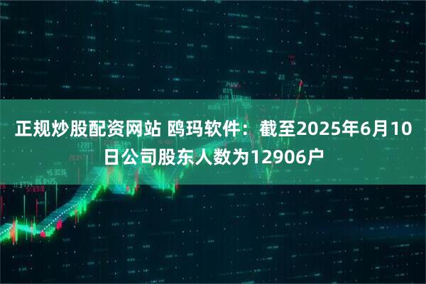 正规炒股配资网站 鸥玛软件：截至2025年6月10日公司股东人数为12906户